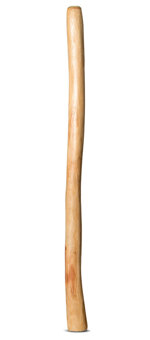 Medium Size Natural Finish Didgeridoo (TW860)